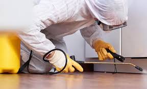 Best Residential Pest Control  in Lake Mathews, CA